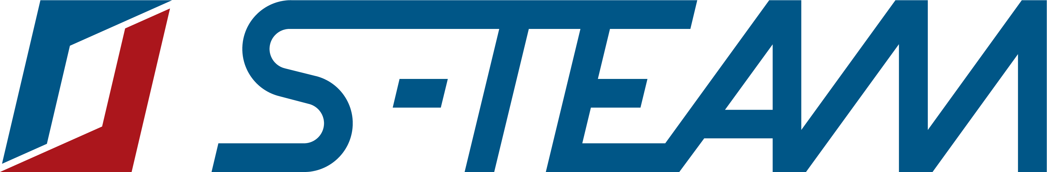 S-TEAM Logo